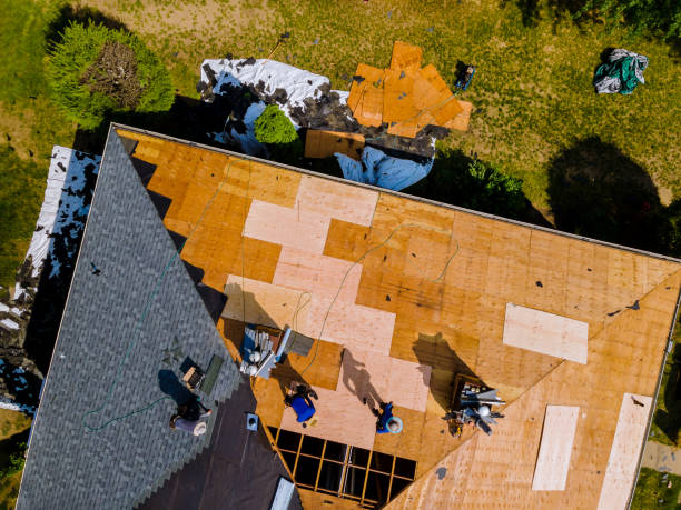 Best Metal Roofing Contractor  in Monteagle, TN