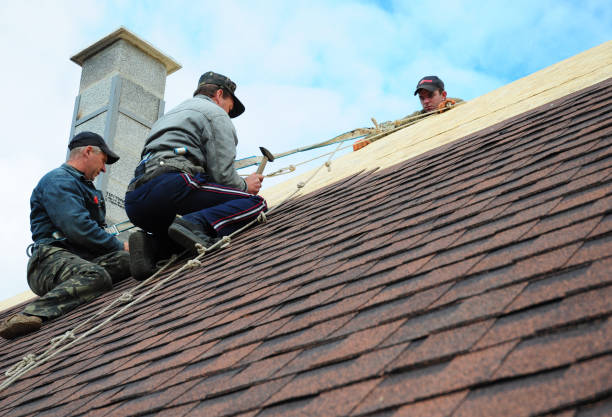 Best Shingle Roofing Installation  in Monteagle, TN